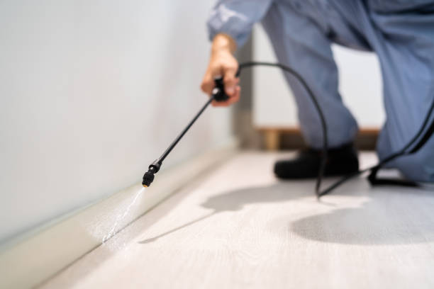 Licensed Mosquito Control service in Manchester, WA - Show Me Pest Control