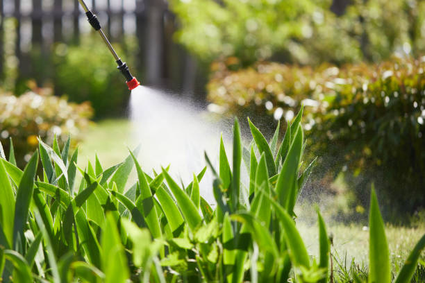 24/7 Emergency Mosquito Control experts in Manchester, WA