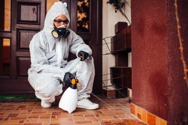 Reliable Mosquito Control contractor in Manchester, WA by Show Me Pest Control